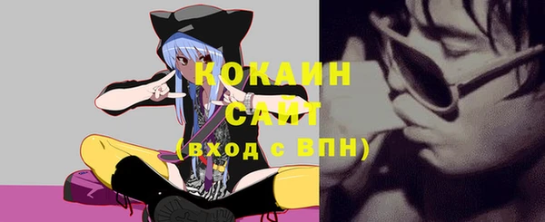сатива Алзамай