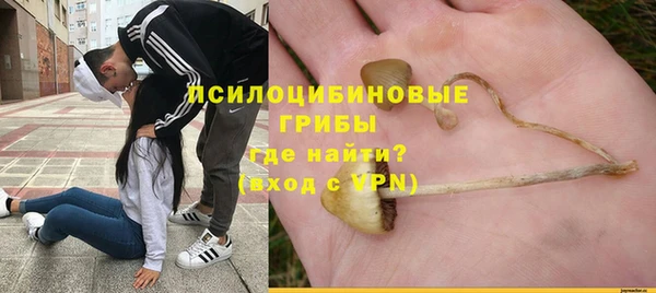 мескалин Алексин