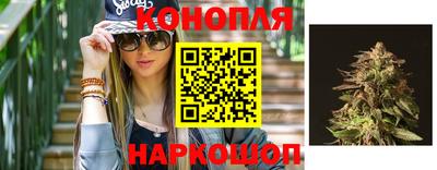 индика Краснодар