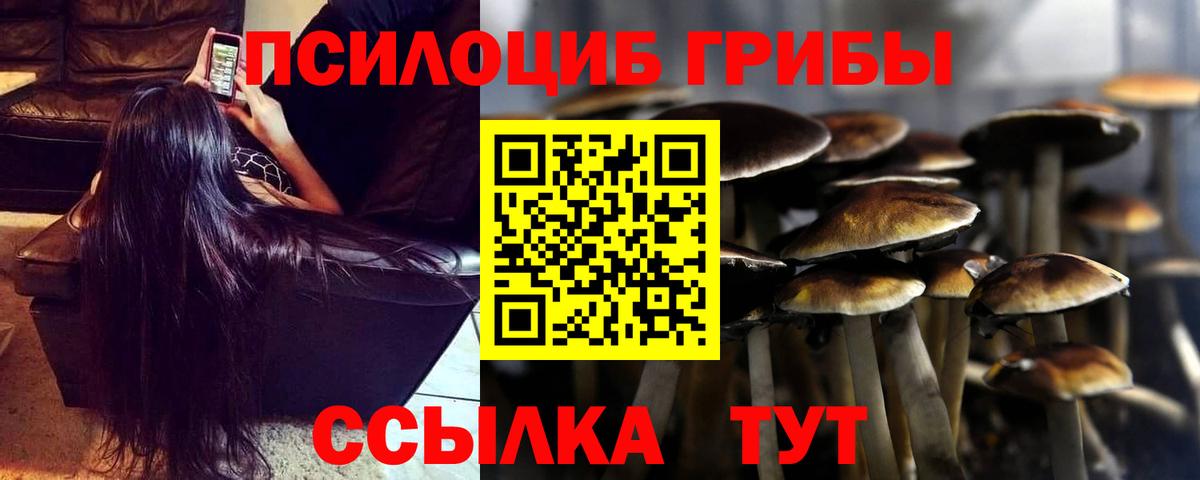 наркотики  Псилоцибиновые грибы Psilocybe  Галлюциногенные грибы Psilocybine cubensis  Вход с VPN  Нефтекумск 
